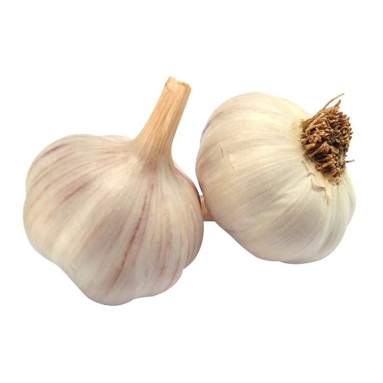 1 Garlic  Bulb / Alho