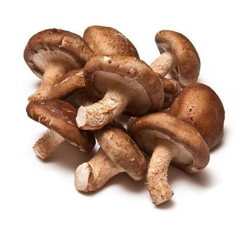 Shiitake Mushrooms / Cogumelo shiitake