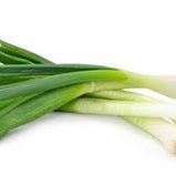 Spring Onion / cebolinha  ( 6 pcs )